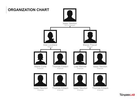 41 Organizational Chart Templates (Word, Excel, PowerPoint, PSD)