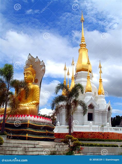 Buddhist architecture 09 stock image. Image of gold, monument - 3058339