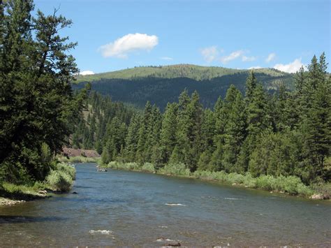 The Blackfoot River in Montana | Detailed Fly Fishing & Floating Guide