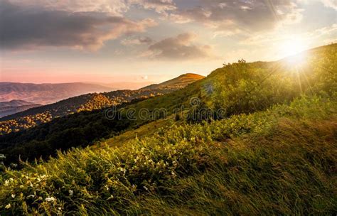 Grassy Meadow on a Hillside at Gorgeous Reddish Sunset Stock Photo ...