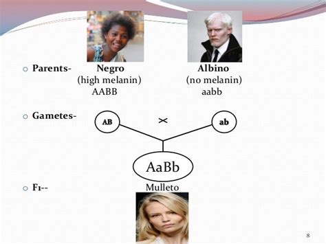 Polygenic inheritance