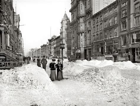 110 Years Ago, New York Winter Was Also Unplesant - ANIMAL