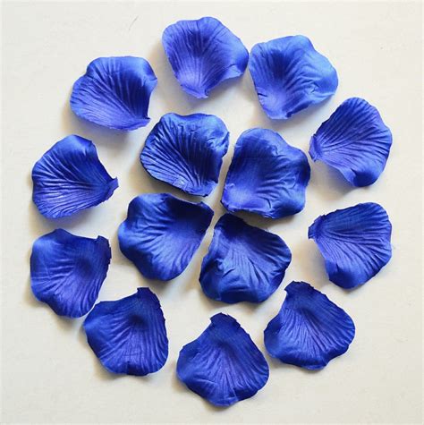 Free photo: Flower petals - Colors, Nature, Seeds - Free Download - Jooinn