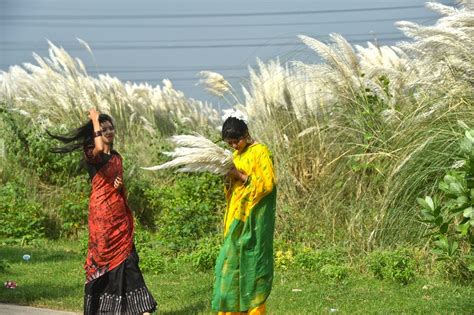 Asia Album: Enjoy the beauty of autumn -- Kans Grass flowers in Dhaka ...