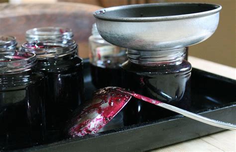 How to Make Bramble Jelly. Bursting with flavour, jars of Bramble Jelly will make great use of ...