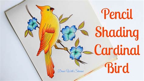 How to draw Cardinal bird/ Pencil Color Shading Yellow Bird with Flowers - YouTube