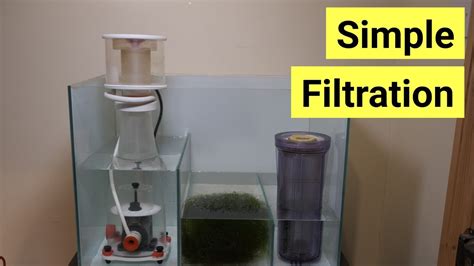 Top 5 Filters For A Saltwater Aquarium – HousePetsCare.com