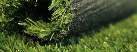 Artificial Turf vs. Natural Grass – Tri-Turf Sod Farms, Inc.