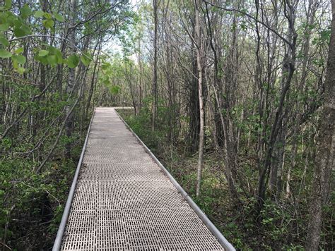 A biodiversity road trip to the headwaters - and a really big bog | MPR News