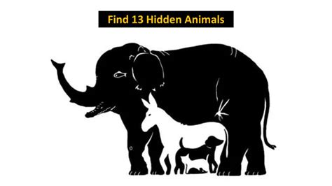 There are 13 hidden animals in this optical illusion! Can you spot them ...