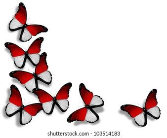 Monegasque Flag Butterflies Isolated On White Stock Illustration 103514183 | Shutterstock