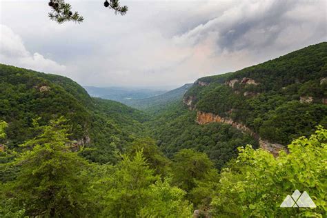 Cloudland Canyon Waterfalls Trail