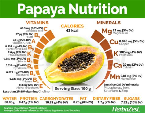 Papaya | HerbaZest