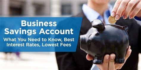 Business Savings Account - Rates, Fees, and More Info