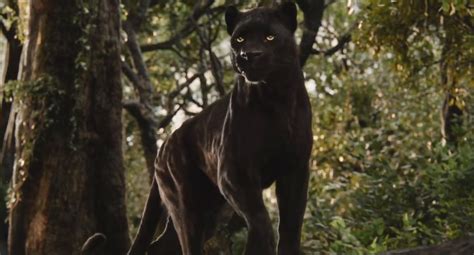 Bagheera (2016) | Heroes Wiki | FANDOM powered by Wikia