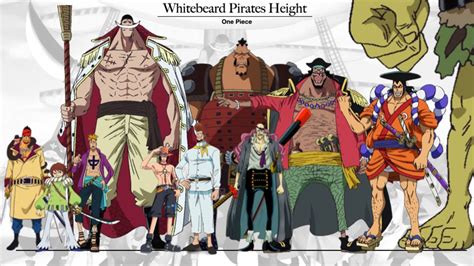 Whitebeard Pirates Complete Height - YouTube