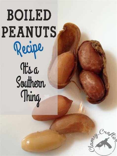 Boiled Peanuts Recipe - Clumsy Crafter