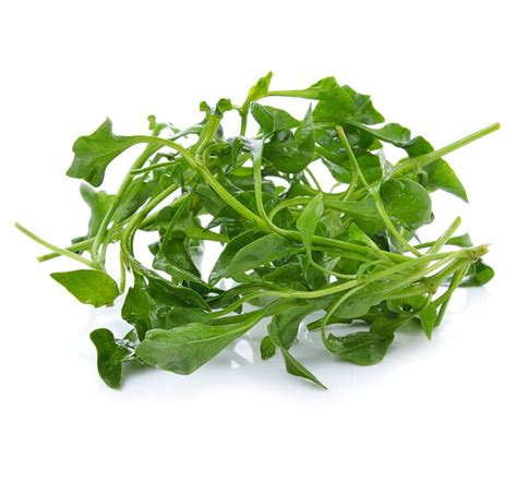 Chinese Watercress 西洋菜 – The Fresh Supply Company