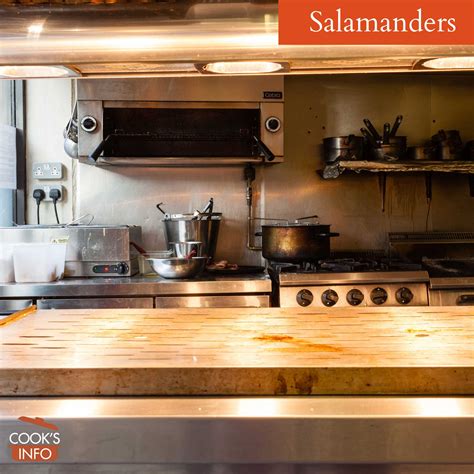 Salamander Kitchen Tool | Besto Blog