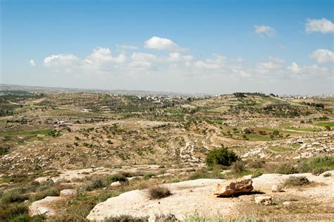 Israel Landscape