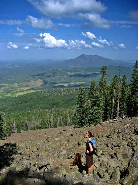 Humphreys Peak Trail 7706a | The view from Humphreys Peak Tr… | Flickr