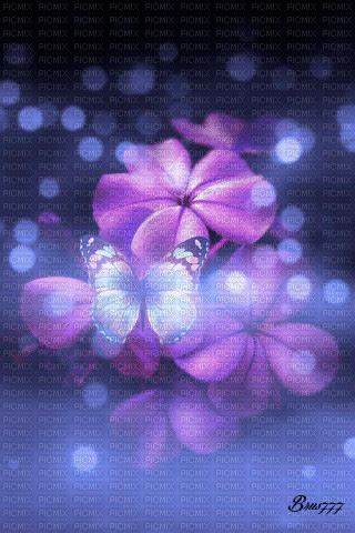 Animated Butterfly Backgrounds Gif