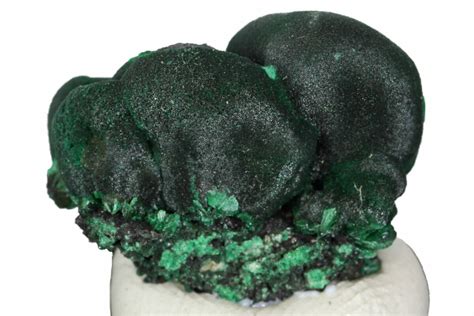 .8" Silky, Botryoidal Malachite Formation - Shilu Mine, China (#161617) For Sale - FossilEra.com