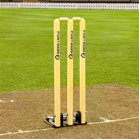 Spring Back Cricket Stumps | Net World Cricket