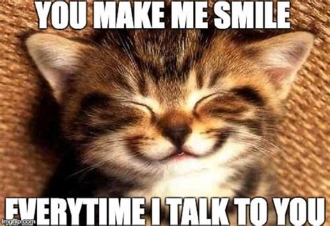 85 Happy Memes to Brighten Your Day and Make You Smile | Мемы про котов, Улыбающиеся животные ...