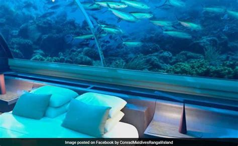 World's First Underwater Villa In Maldives, For $50,000 A Night