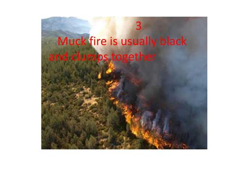 PPT - Muck Fire PowerPoint Presentation, free download - ID:2667515