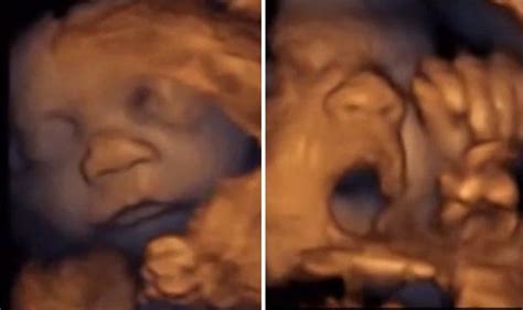 Fascinating video that proves babies SING in the womb | UK | News | Express.co.uk