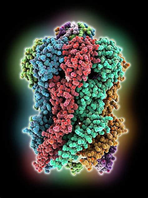 Mscs Ion Channel Protein Structure Photograph by Laguna Design