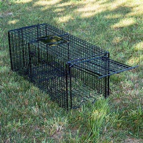 Rabbit Traps — Maintrac Group