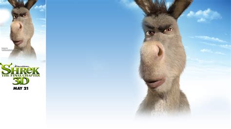 Donkey Wallpaper - WallpaperSafari