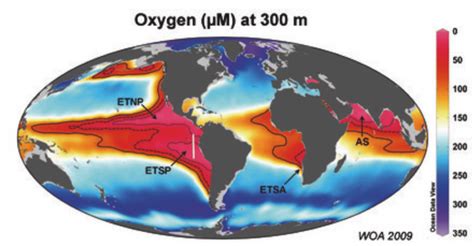 How can we stop the spread of ocean dead zones? | World Economic Forum