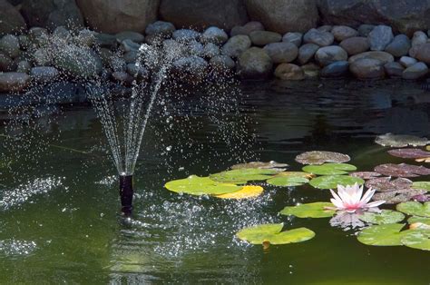 The Best Pond Fountain [May 2023] - Toolshed Stuff