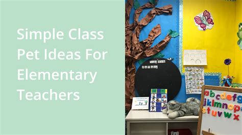 Simple Class Pet Ideas for Elementary Teachers — Literacy Fundamentals