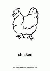 Chicken Chook Coloring Pages sketch template