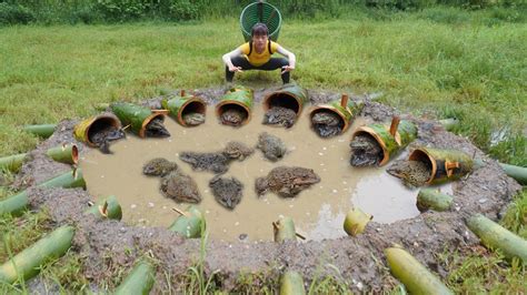 Harvesting frogs with a tube bamboo prey trap system and Go to the ...