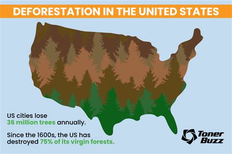 Deforestation Map 2024 Us - carmon cynthie