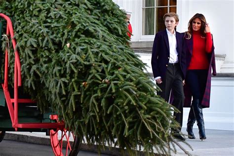 Watch: Melania Trump, Barron receive White House Christmas tree - UPI.com