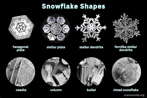 Snowflake Shapes