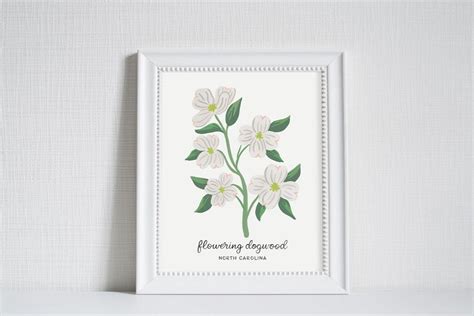 North Carolina Flowering Dogwood State Flower Art Print | Etsy