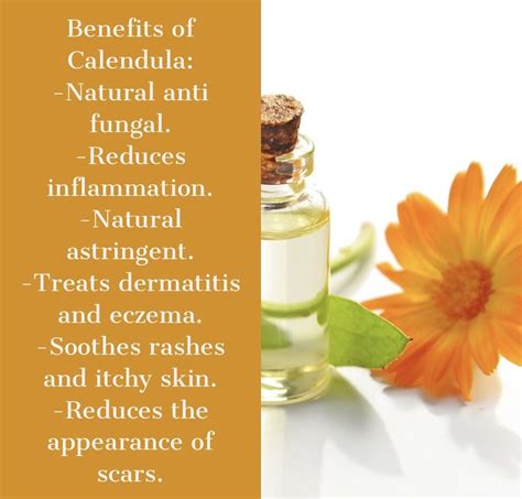 Benefits of Calendula Oil #essentialoils #purenaturebeauty # ...