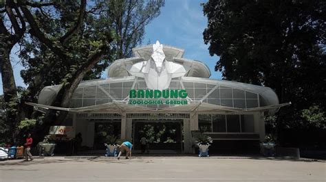 Top 8 Things to Do in Bandung Zoo