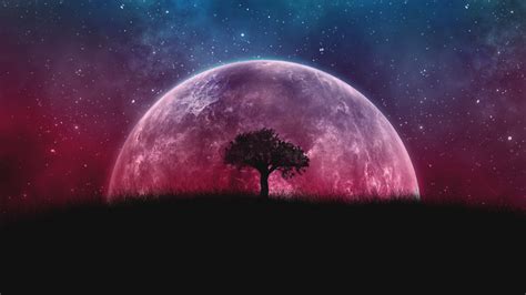 Download wallpaper 1366x768 planet, silhouette, tree, moon, galaxy, stars, photoshop, tablet ...