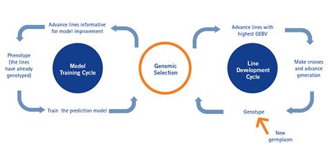 Genomic Selection - Eurofins BioDiagnostics - Eurofins USA