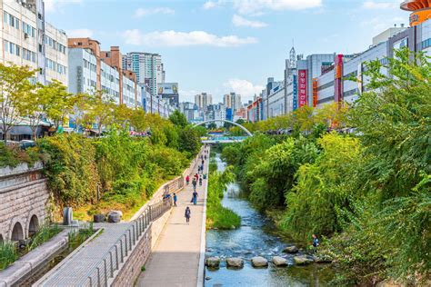 It takes more than words and ambition: Here’s why your city isn’t a lush, green oasis yet - City ...