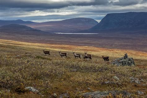 10 Most Beautiful National Parks Sweden – Touropia Travel